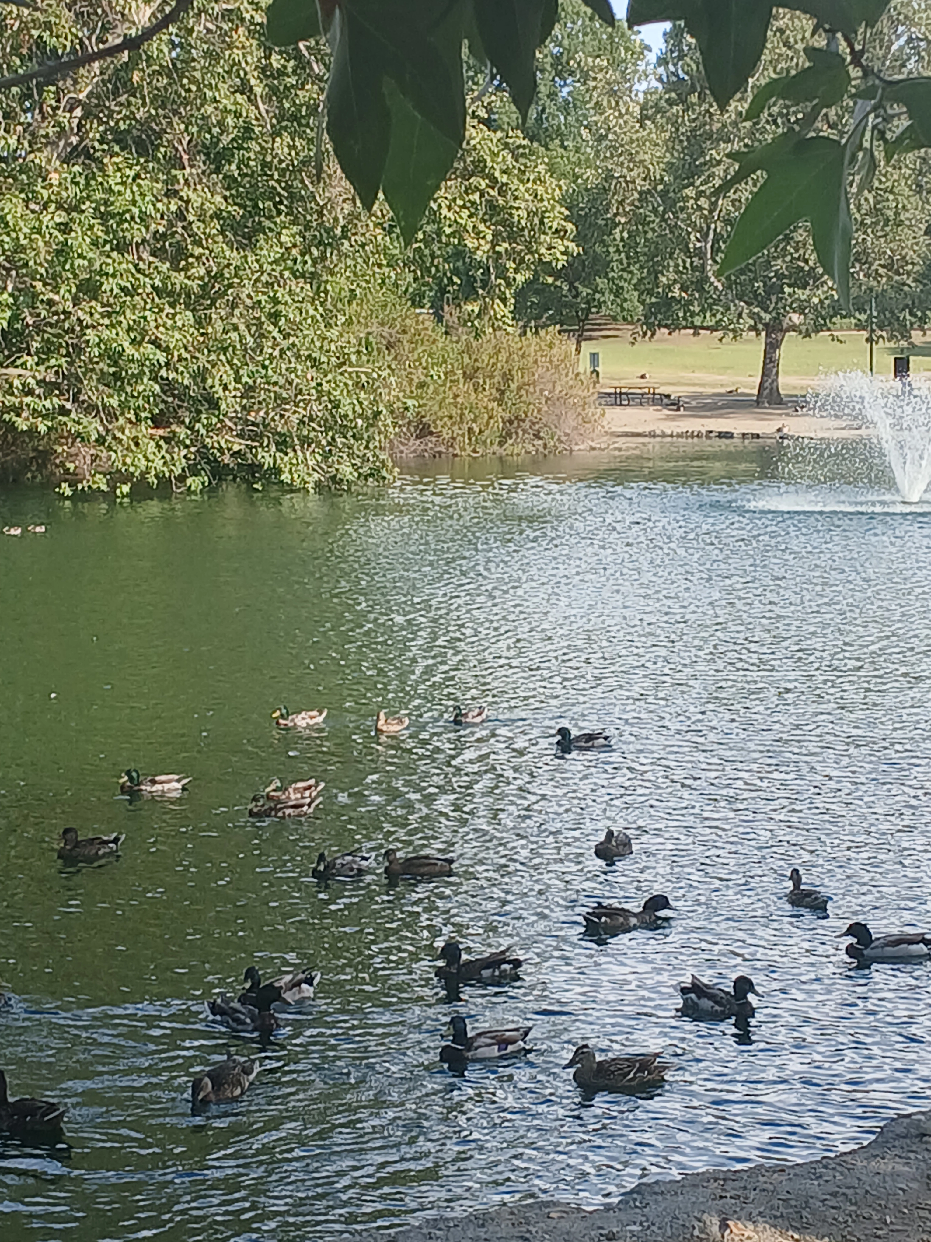 challenge check ins Gallery: