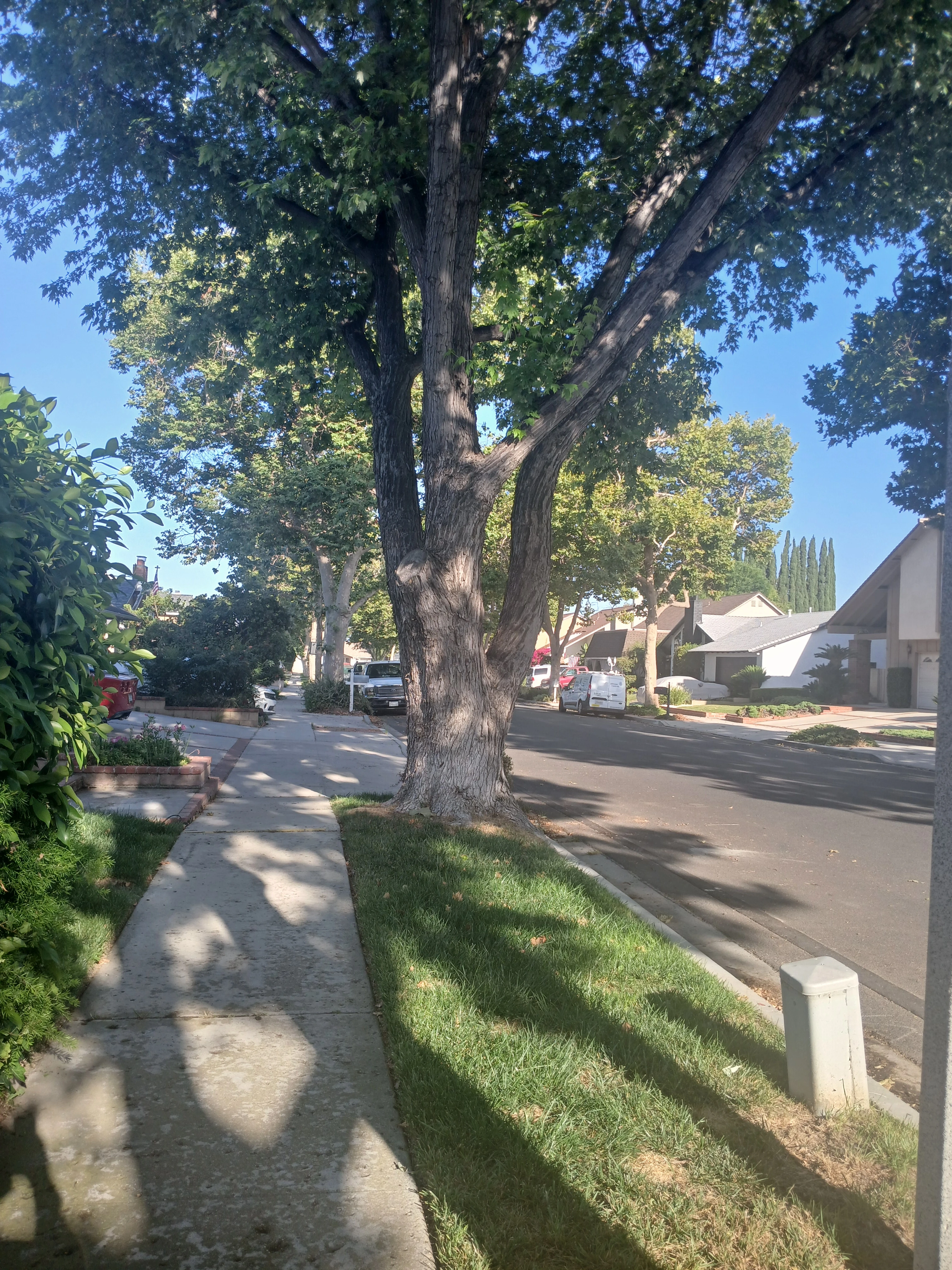 challenge check ins Gallery: