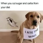 Profile picture of mmartha